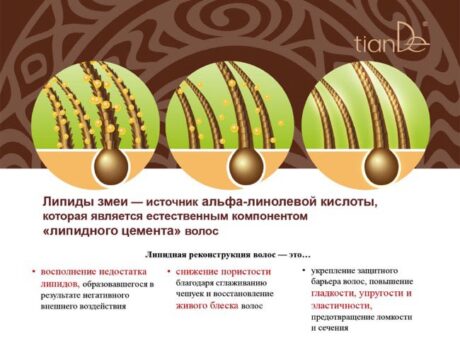 Шампунь Snake Factor, 200 мл