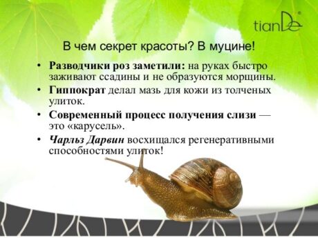 Многофункциональный крем для лица с муцином улитки, 5 шт.х10 мл