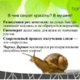 Многофункциональный крем для глаз с муцином улитки Snail Secret