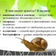 Омолаживающий крем-бустер для рук с муцином улитки