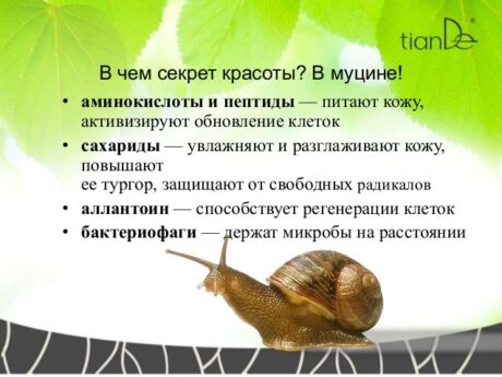 Омолаживающий крем-бустер для рук с муцином улитки