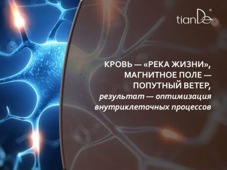 Мужское нижнее белье с точечным нанесением турмалина