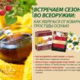 Фиточай «Cезонная терапия с липой, солодкой и малиной»