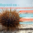 Увлажняющий праймер под макияж